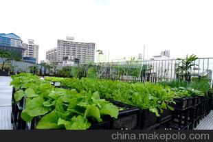 種花好,種菜更好圖片,種花好,種菜更好圖片大全,廣州樂栽樂哉園藝產品種植科技-